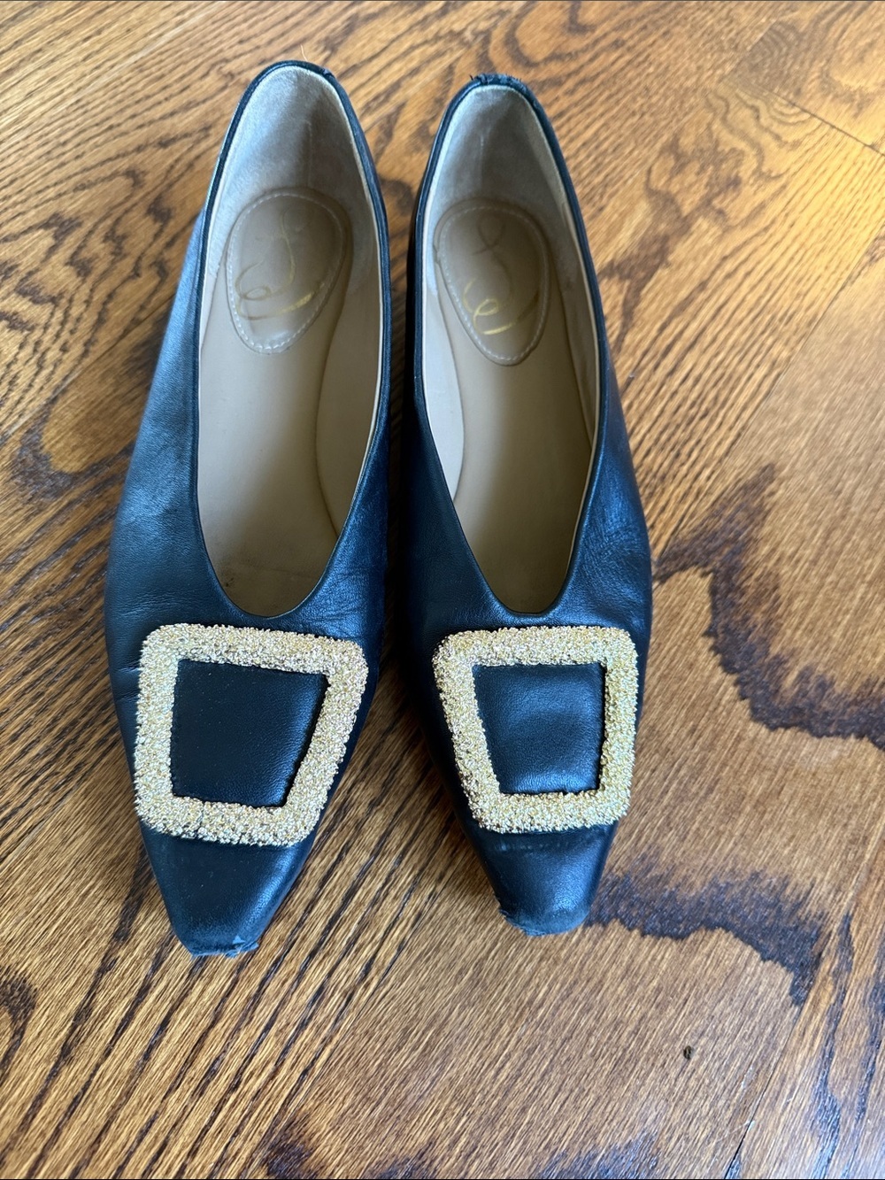 Sam Edelman Janina Pointed Toe Flat